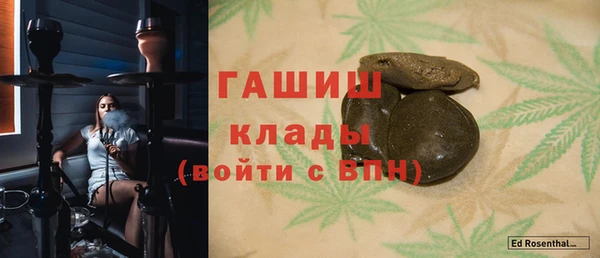 прущие грибы Алзамай