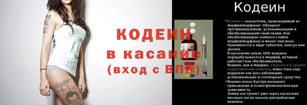 прущие грибы Алзамай