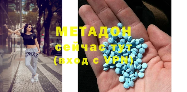 прущие грибы Алзамай