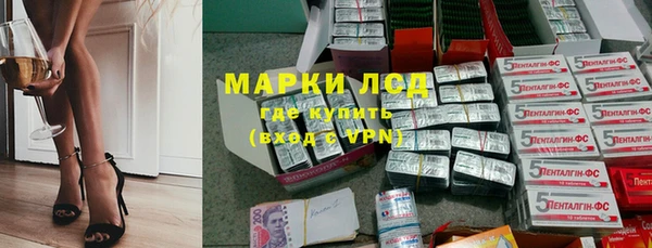 прущие грибы Алзамай