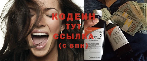 индика Пересвет